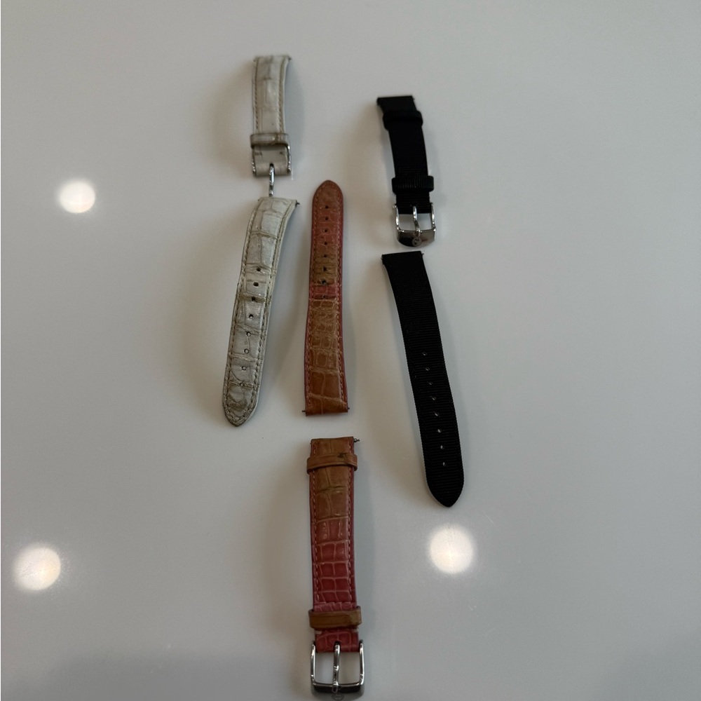 Bundle of 3 Michele Watch Bands